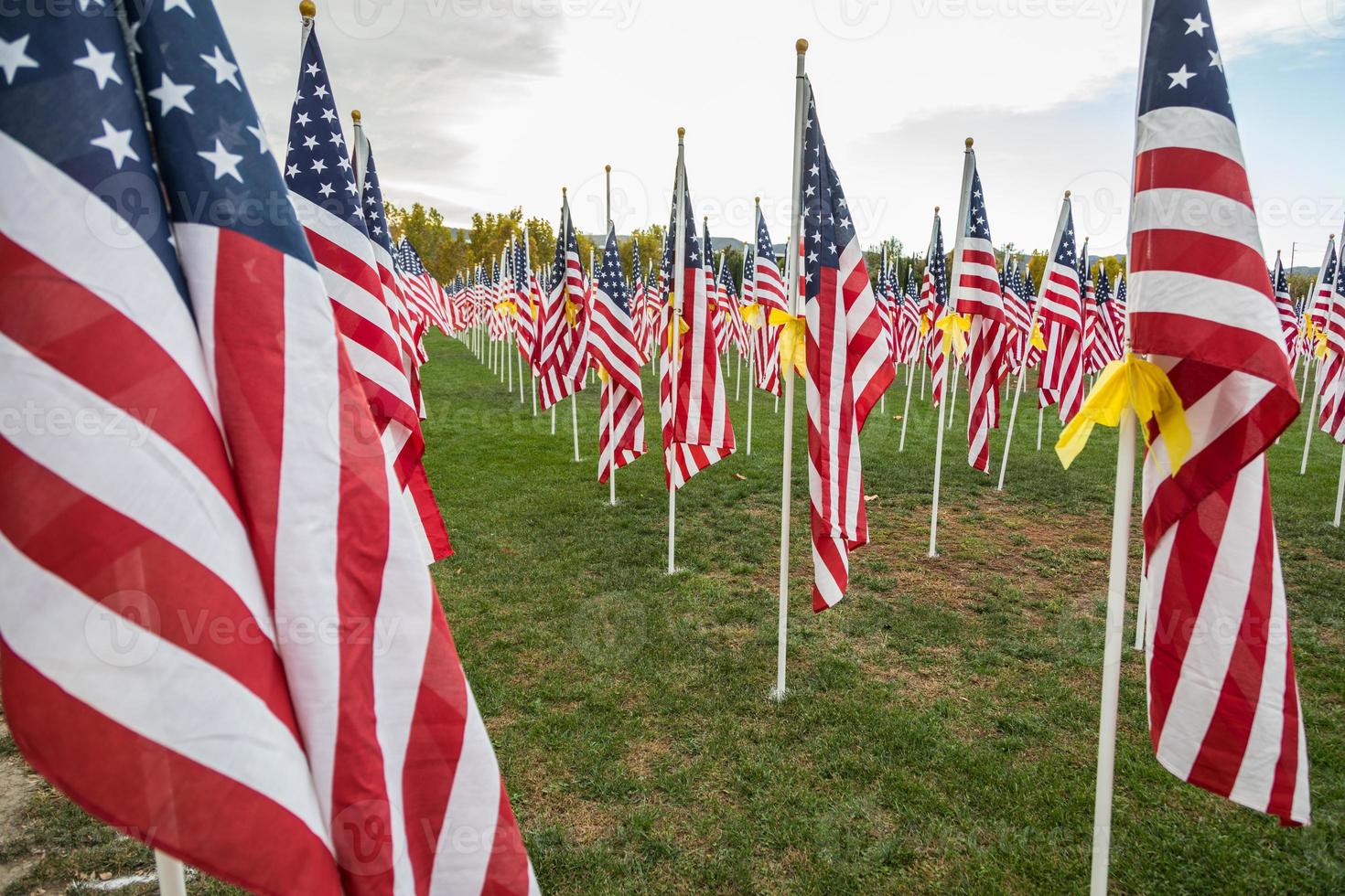 Field of Veterans Day American Flags Waving in the Breeze. photo