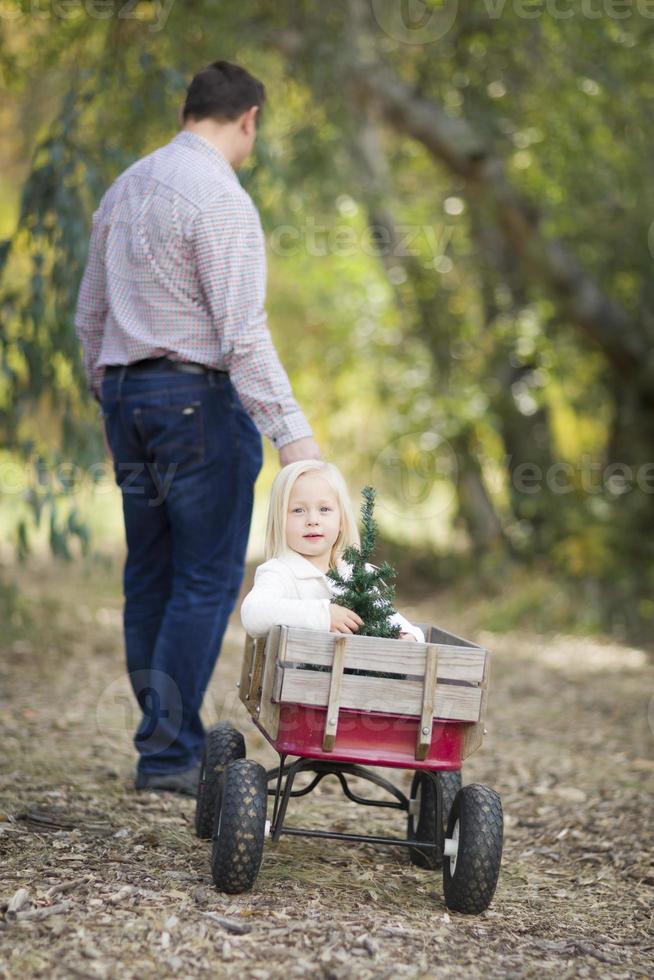 Father Pulls Baby Girl in Wagon with Christmas Tree photo
