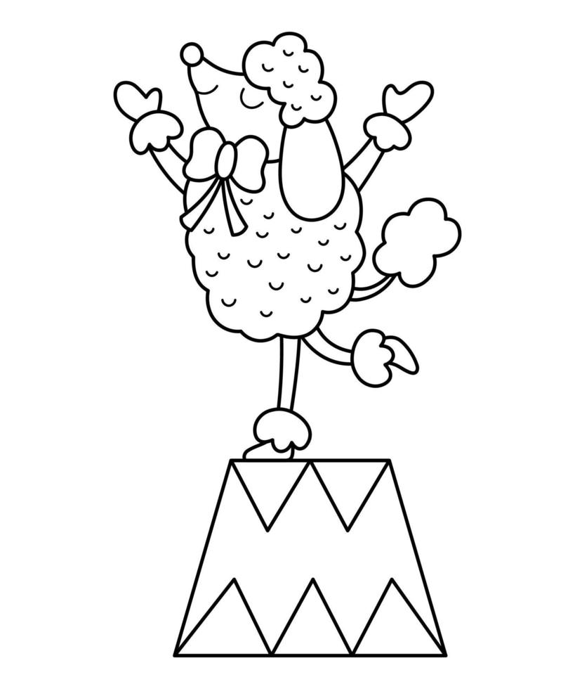 Black and white poodle on a stand. Vector circus animal. Amusement holiday dog line icon. Cute funny festival character outline clip art. Street show comedian illustration or coloring page