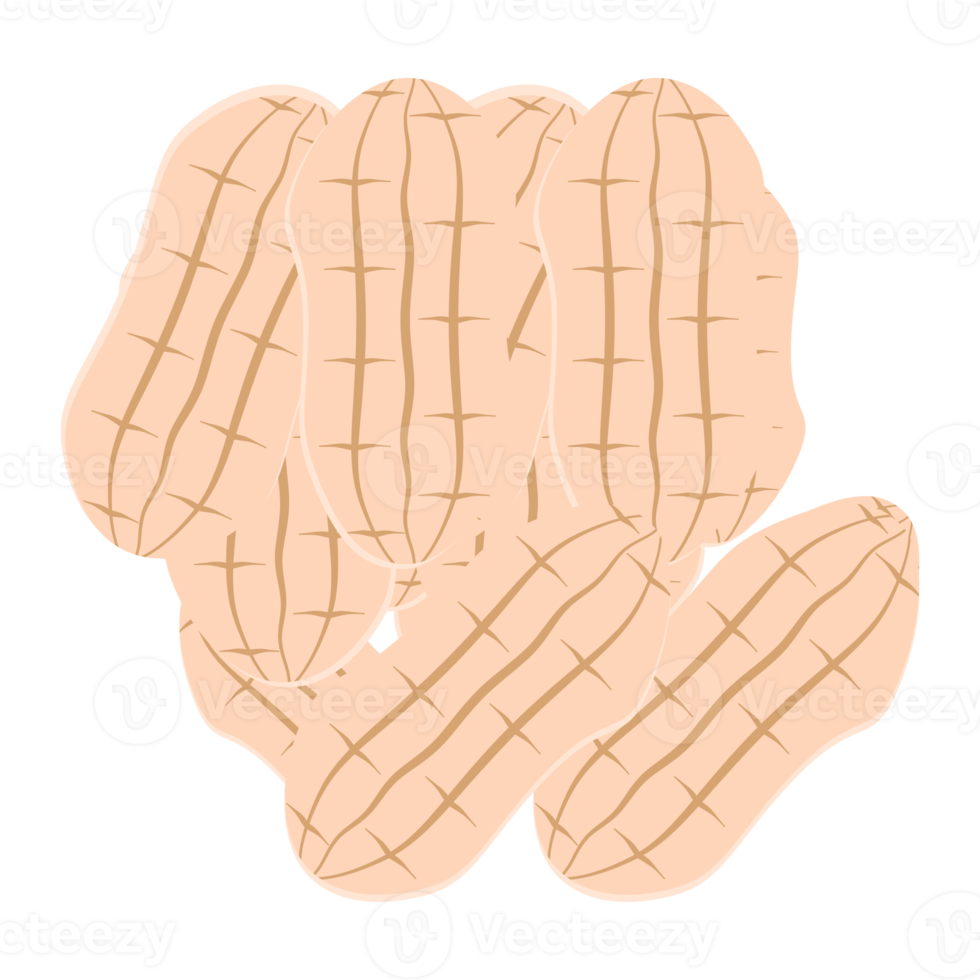 conjunto de coleta de lanches de comida saudável de amendoim png