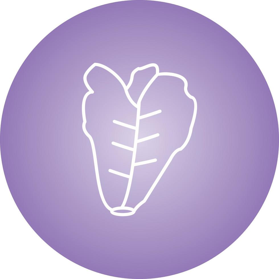 Unique Lettuce Vector Line Icon