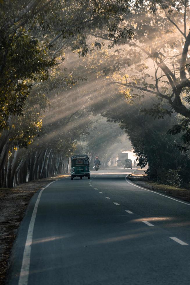 driving through the foggy road photo