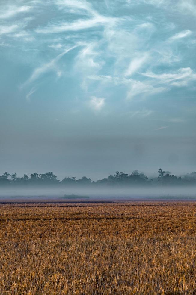 nubes sobre el campo foto