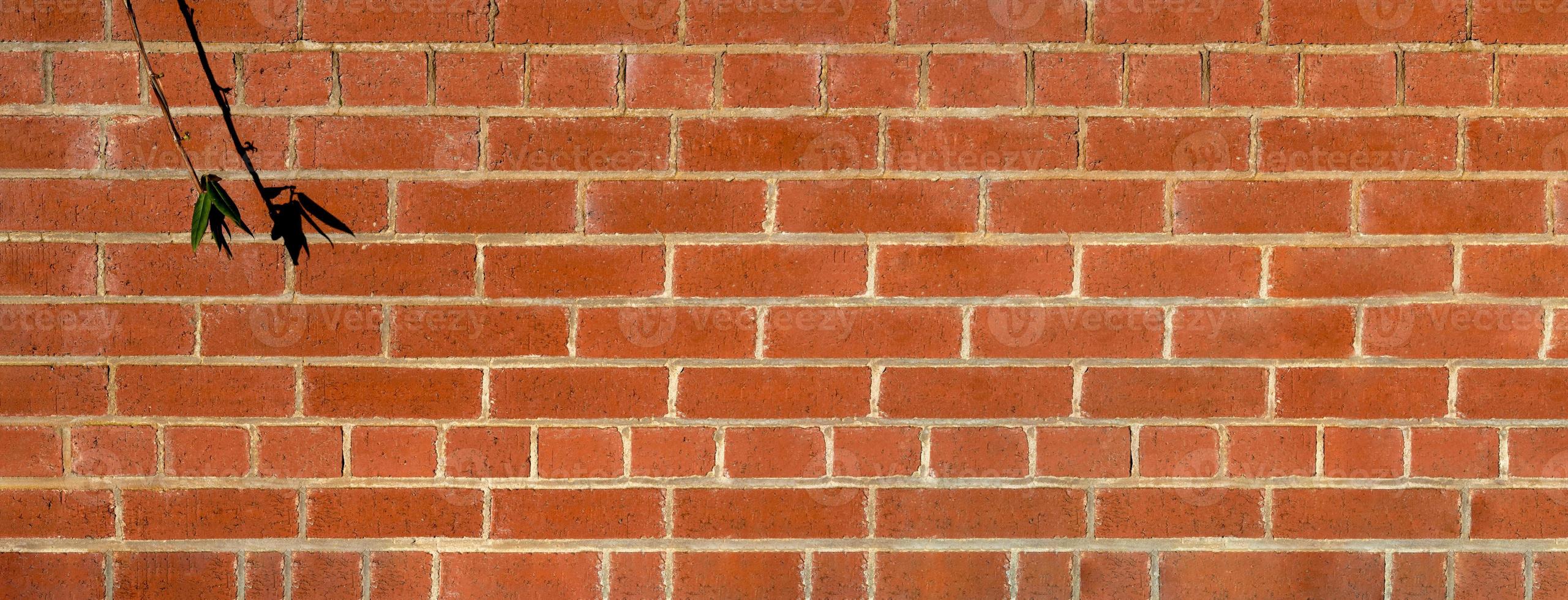 Brick wall background, Brown concrete block with branch leaves and shadow, Horizon Bricklayer with Mortar, Wide panorama of masonry, Traditional English Building materials brick facade. photo