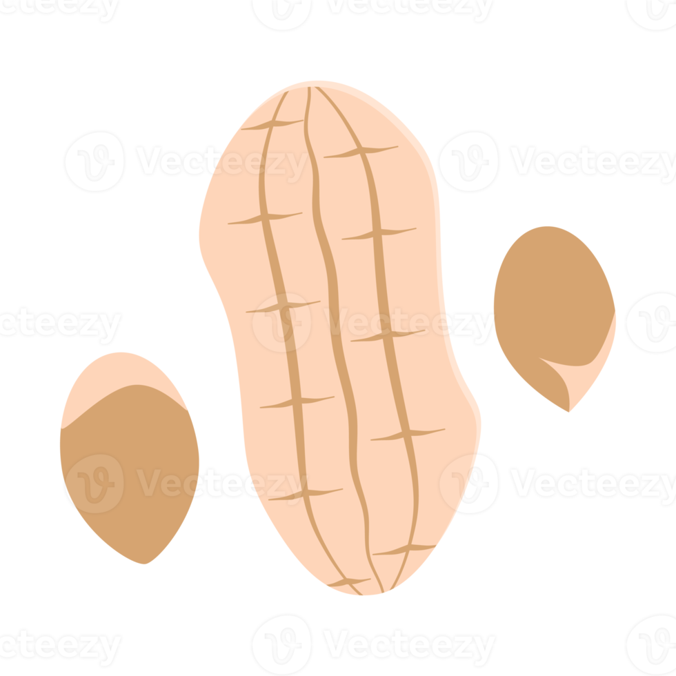 ensemble de collection de collations d'aliments sains aux arachides et aux noix png