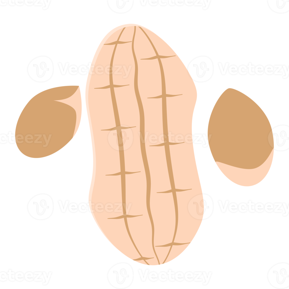 ensemble de collection de collations d'aliments sains aux arachides et aux noix png