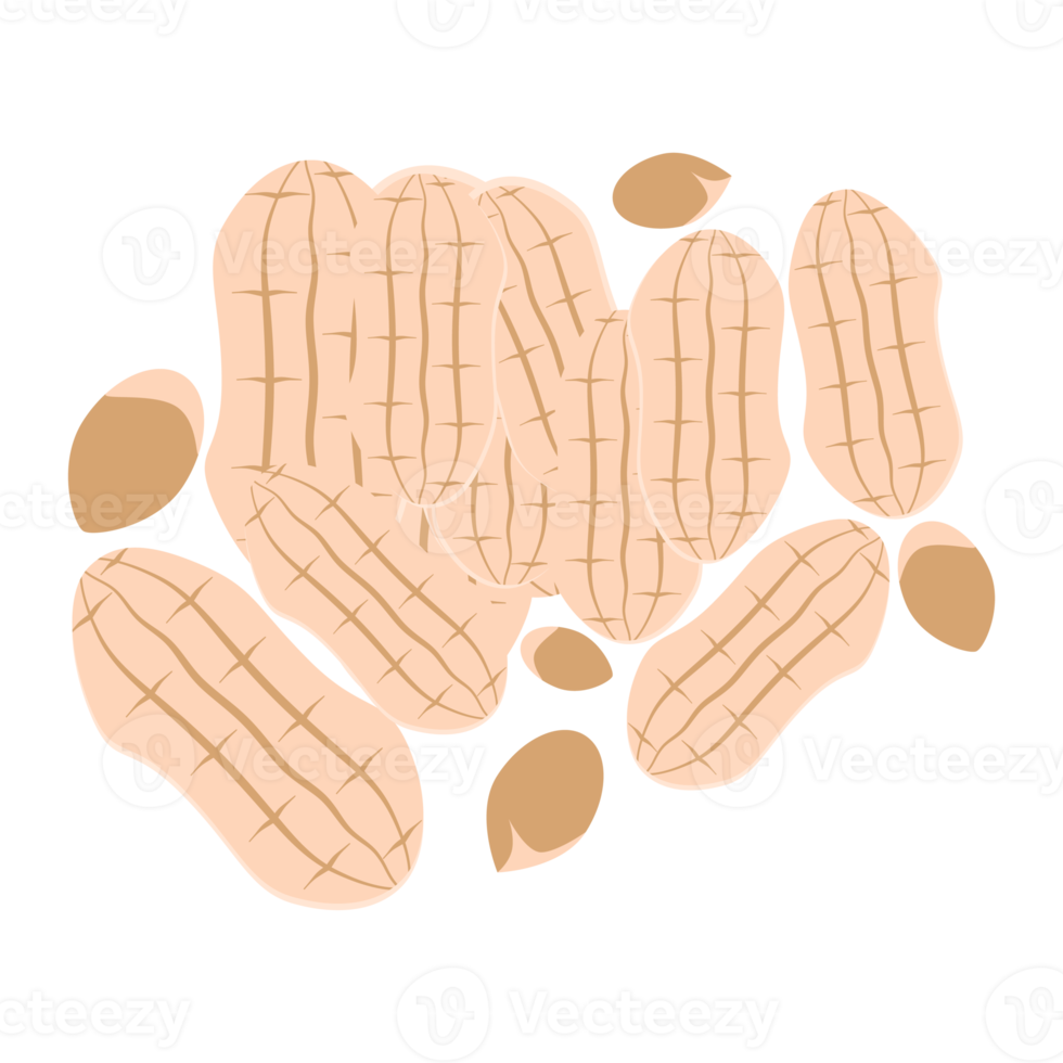 nuts peanut healthy food snacks collection set png