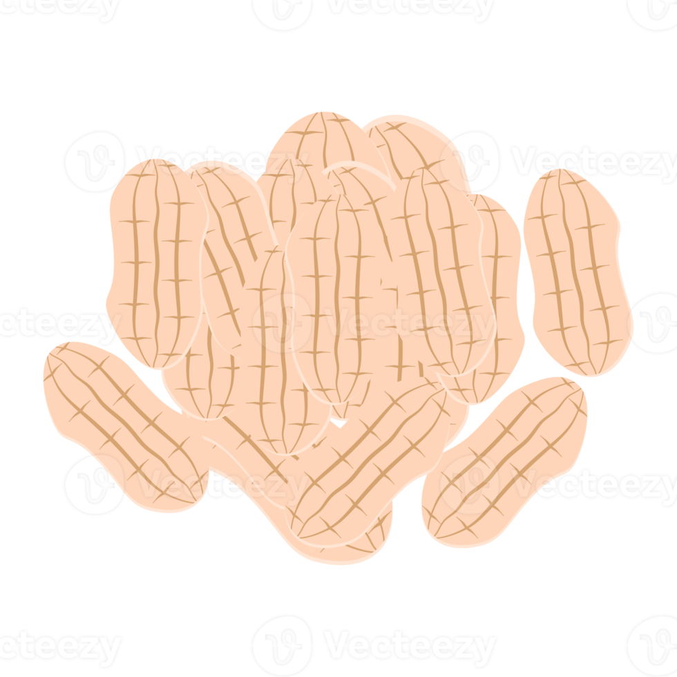 ensemble de collection de collations d'aliments sains aux arachides et aux noix png