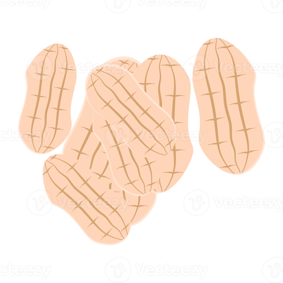 nuts peanut healthy food snacks collection set png