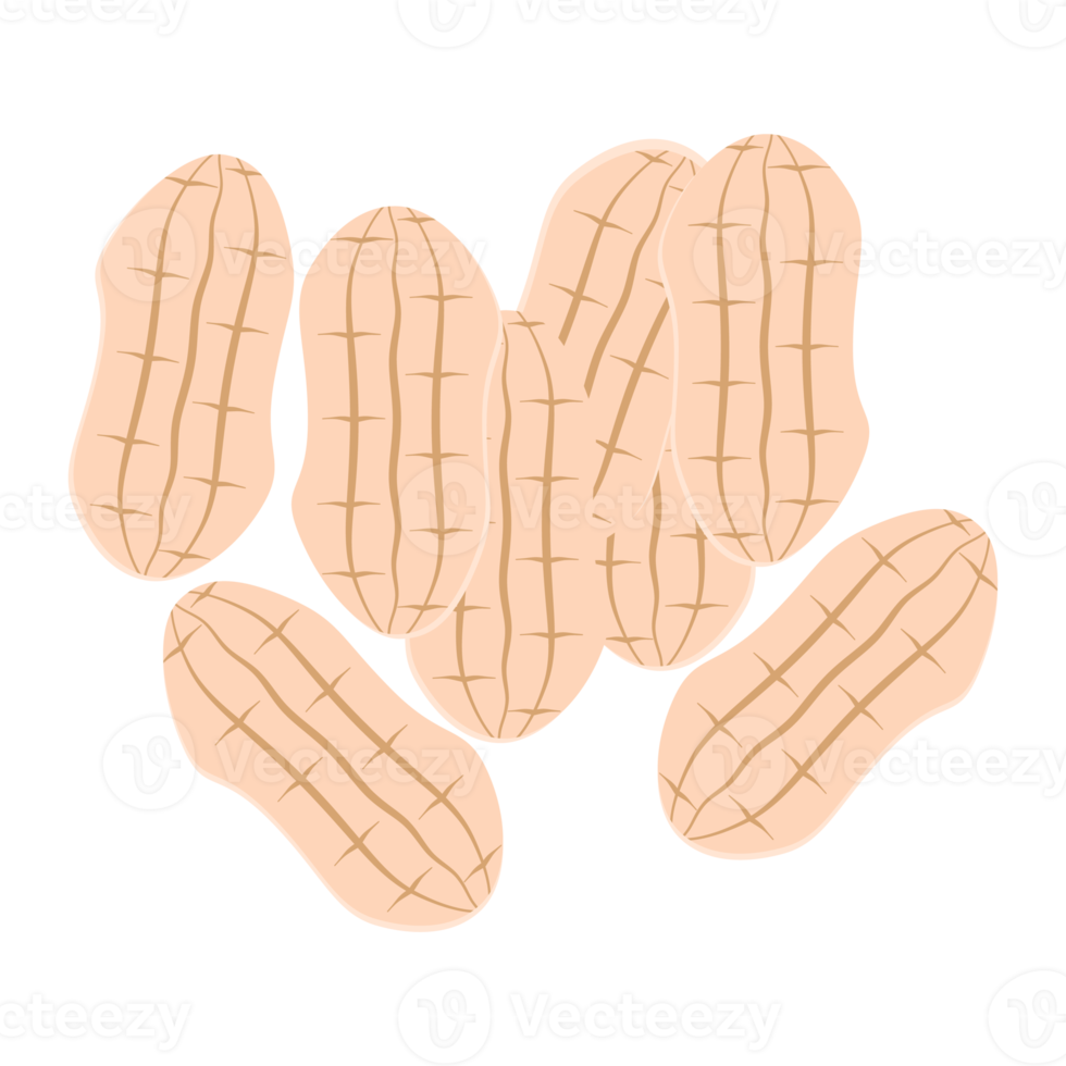 ensemble de collection de collations d'aliments sains aux arachides et aux noix png