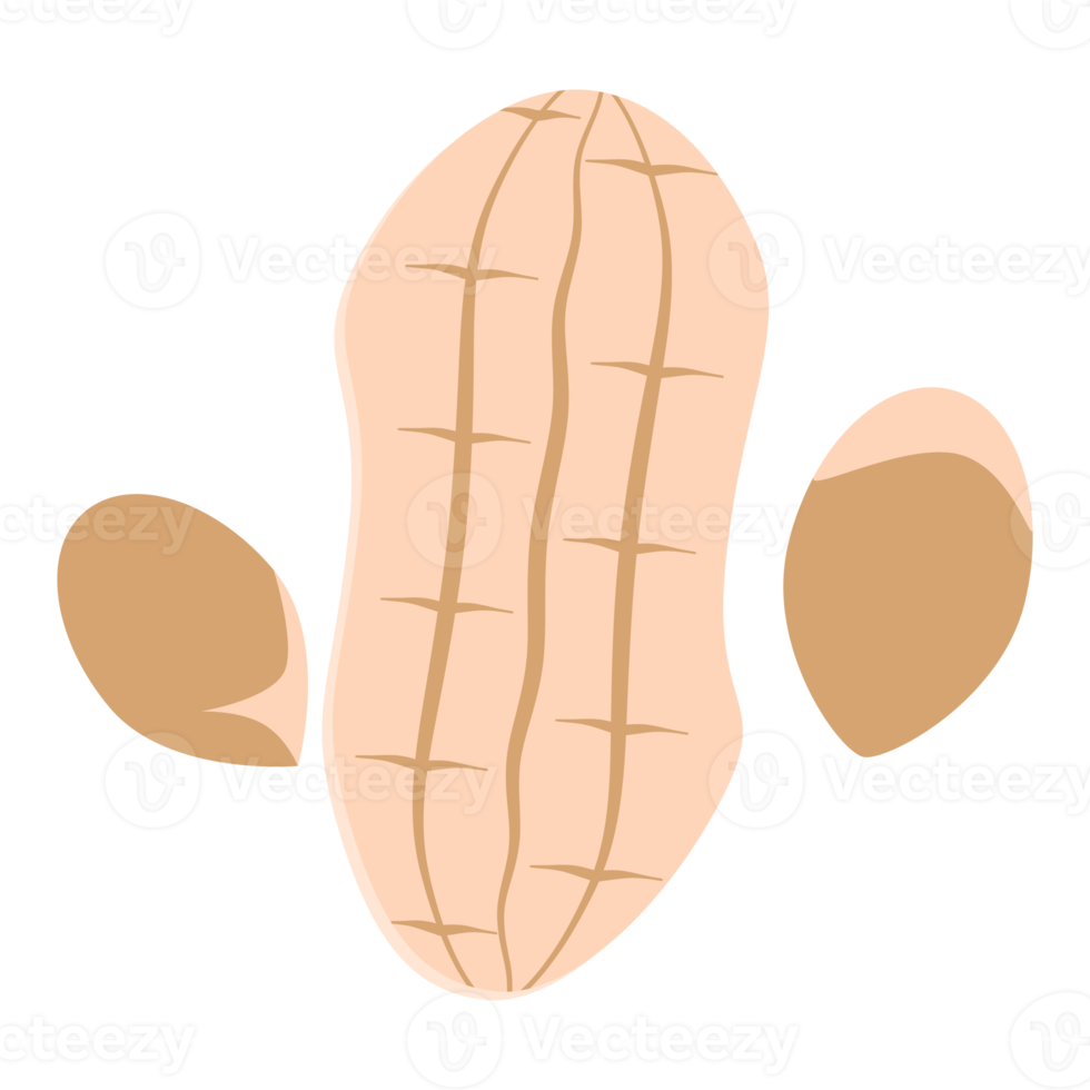 ensemble de collection de collations d'aliments sains aux arachides et aux noix png