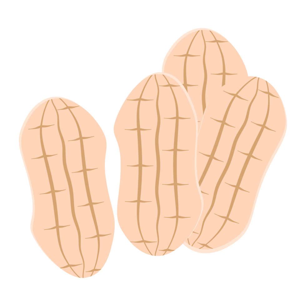 ensemble de collection de collations d'aliments sains aux arachides et aux noix png