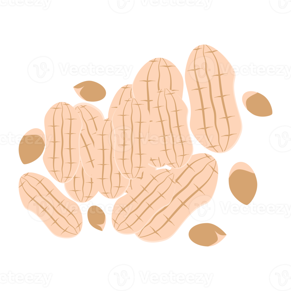 ensemble de collection de collations d'aliments sains aux arachides et aux noix png