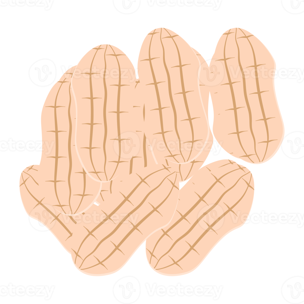 ensemble de collection de collations d'aliments sains aux arachides et aux noix png