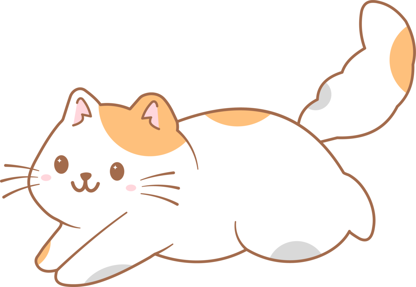 gatinho brincalhão gatinho gato fofo sorriso png