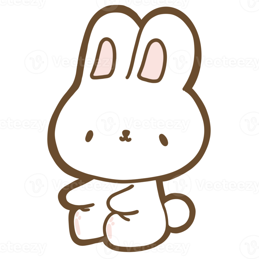 Cute Rabbit Characters 16327144 PNG
