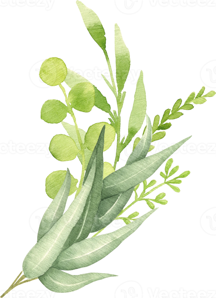 ilustración de acuarela botánica. ramo de vegetación con eucalipto, hojas de primavera y ramas. elementos de diseño floral. perfecto para invitaciones de boda, tarjetas de felicitación, impresiones, embalaje, carteles png