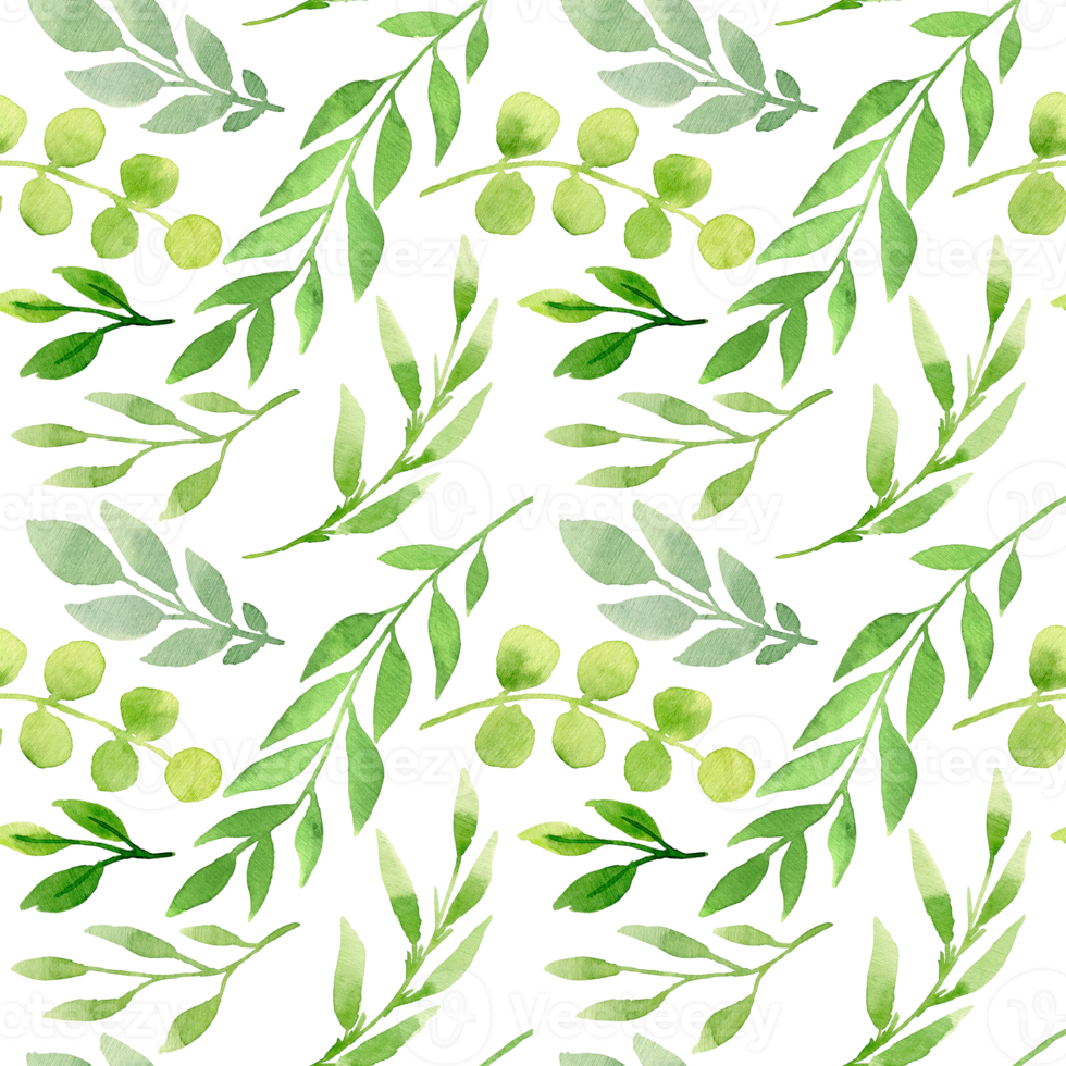 Spring watercolor seamless pattern. Botanical background with eucalyptus, branches and leaves. Greenery illustration. Floral Design. Perfect for invitations, wrapping paper, textile, fabric, packing png