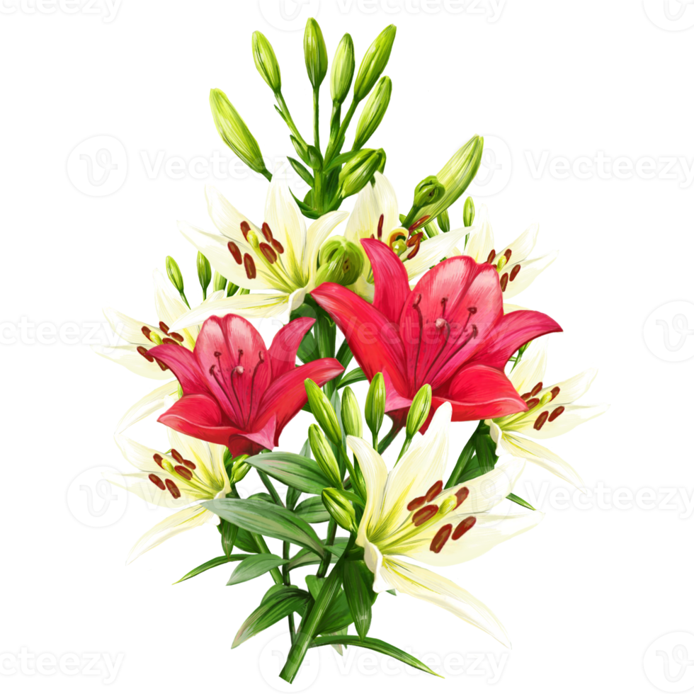 bouquet di fiori di gigli multicolori, illustrazione daylily png