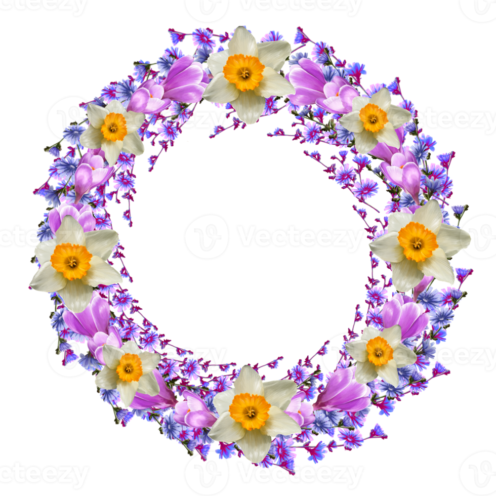 frame of crocus flowers, daffodils, saffron, chicory png