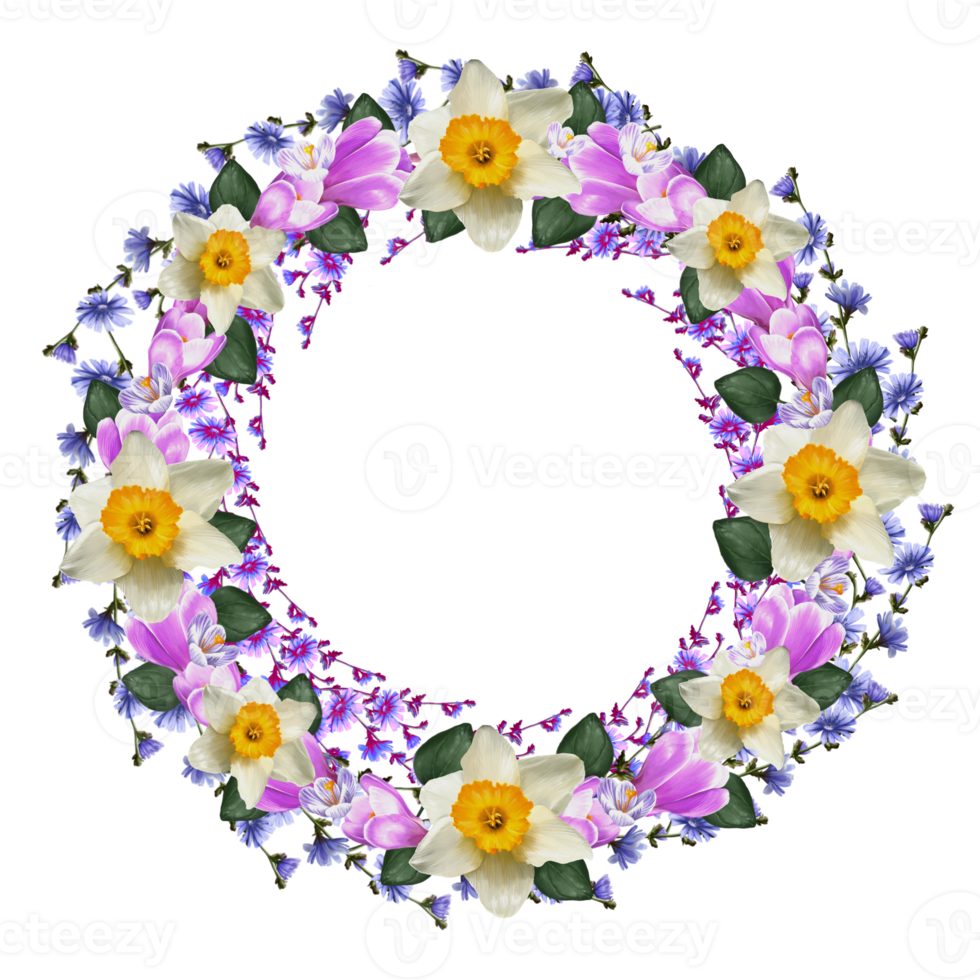 decorative frame of spring flowers narcissus and crocus png