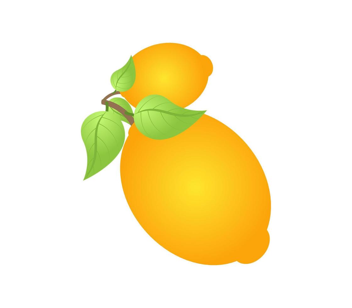 ilustración de una naranja vector
