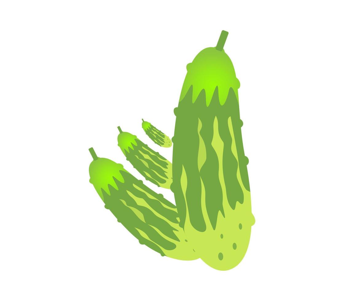 cucumber Pro vector