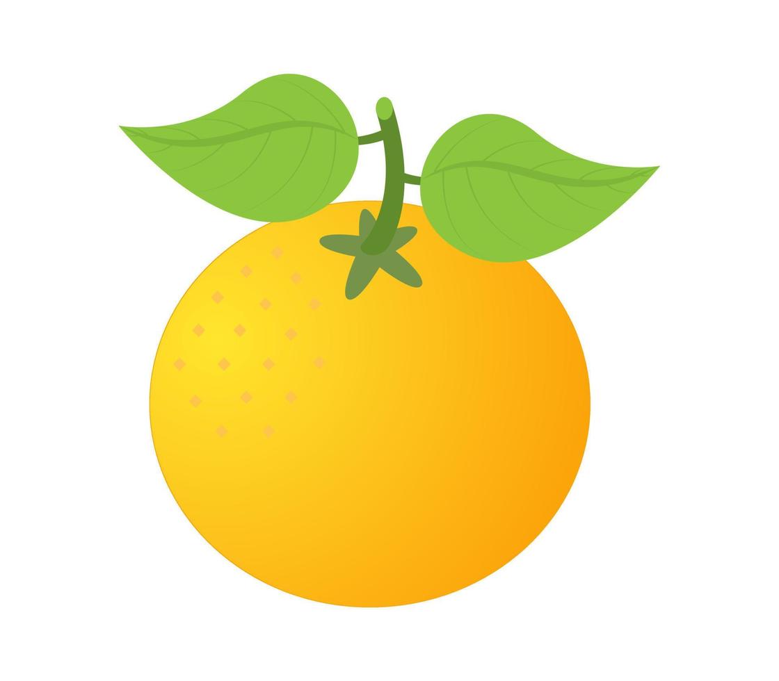 ilustración de una fruta naranja vector