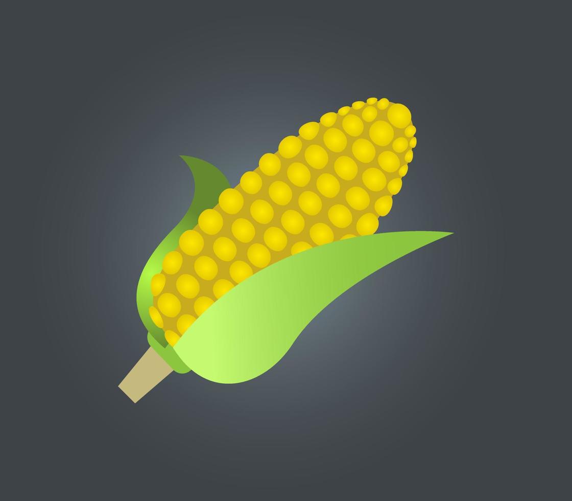 corn on a plate vector