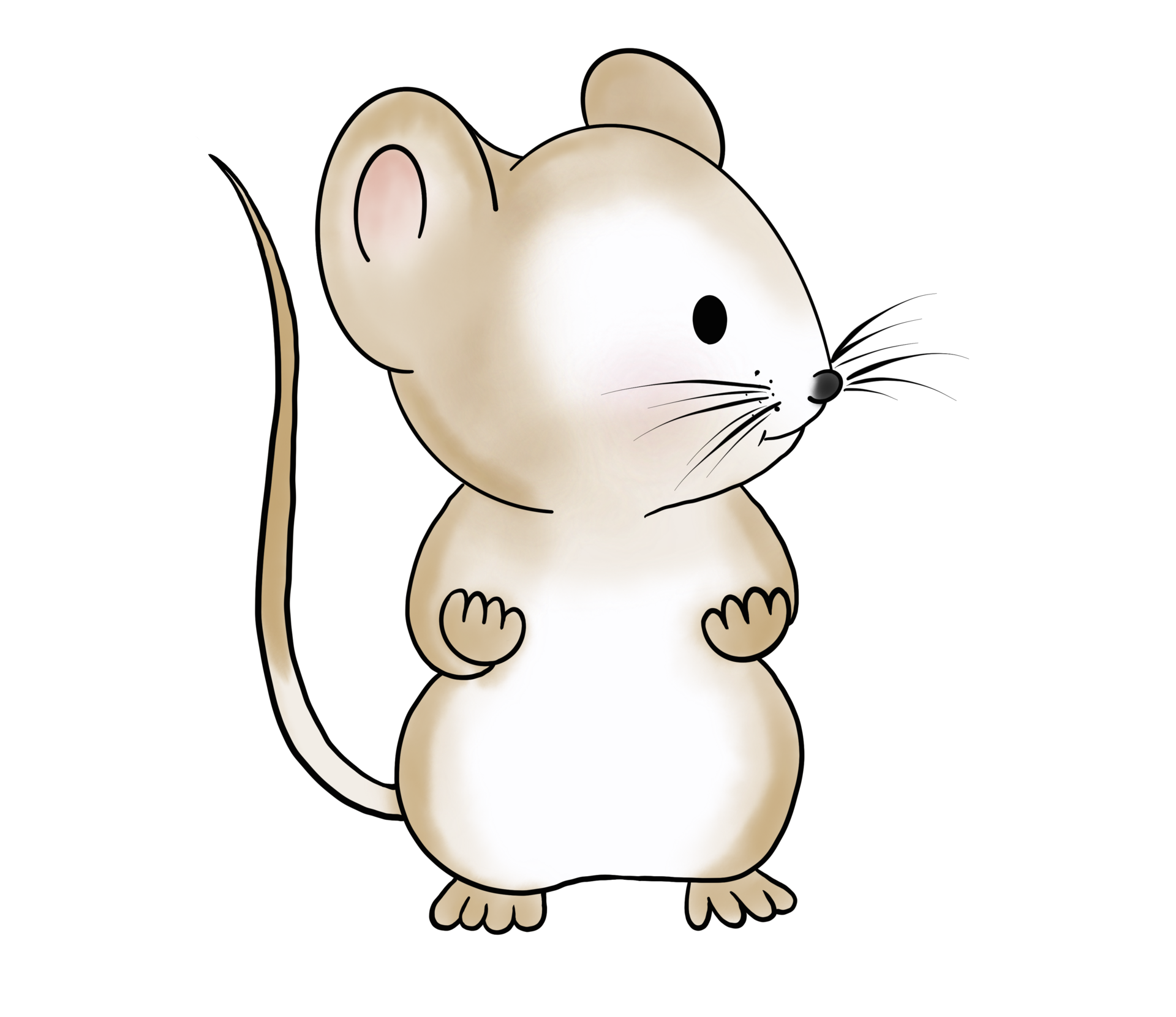 Mouse Drawing 4 Easy Steps  The Graphics Fairy