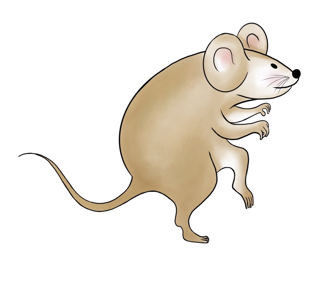 le mignon personnage de souris de dessin animé marron clair se faufile et agit pour voler quelque chose. isoler l'image. png