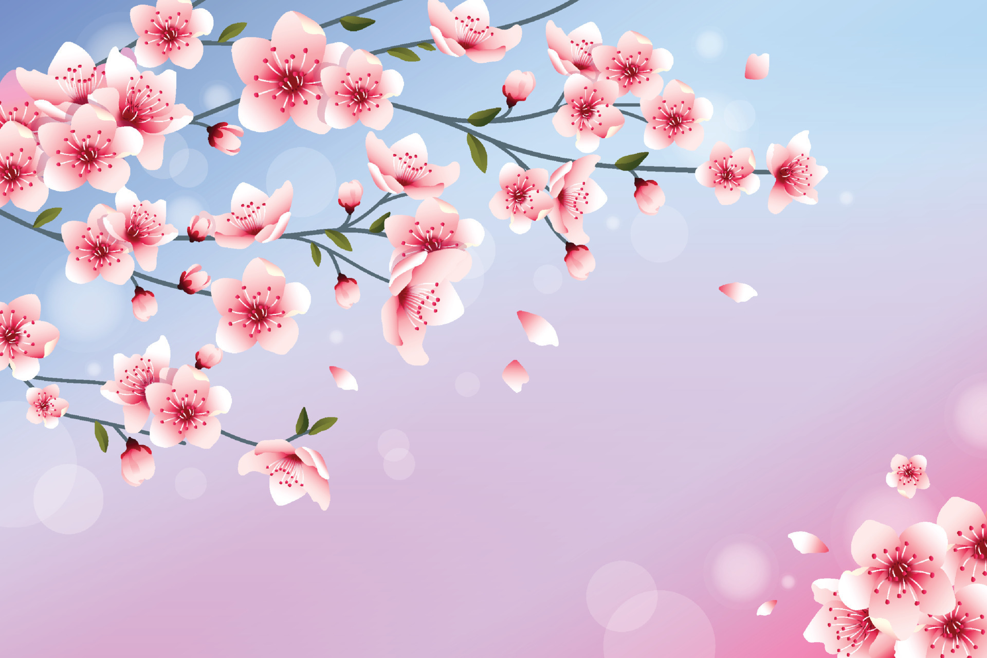 Realistic Peach Blossom Background 16330187 Vector Art at Vecteezy