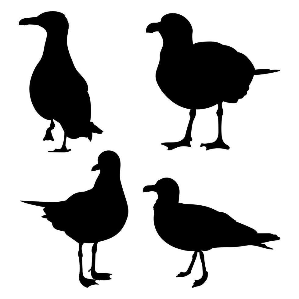 Vector set of standing seagulls gull, various silhouettes of wild birds hand drawn, isolated vector