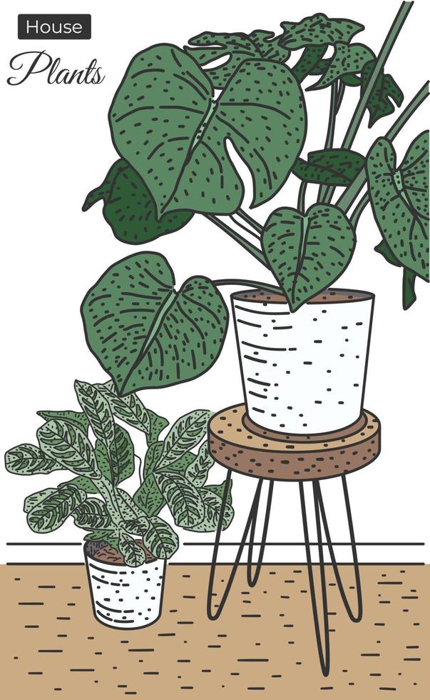 house plants sketch vector illustration