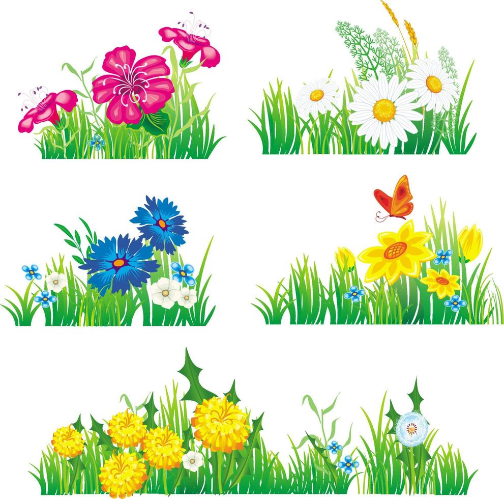 Flowers and grass 16332226 Vector Art at Vecteezy