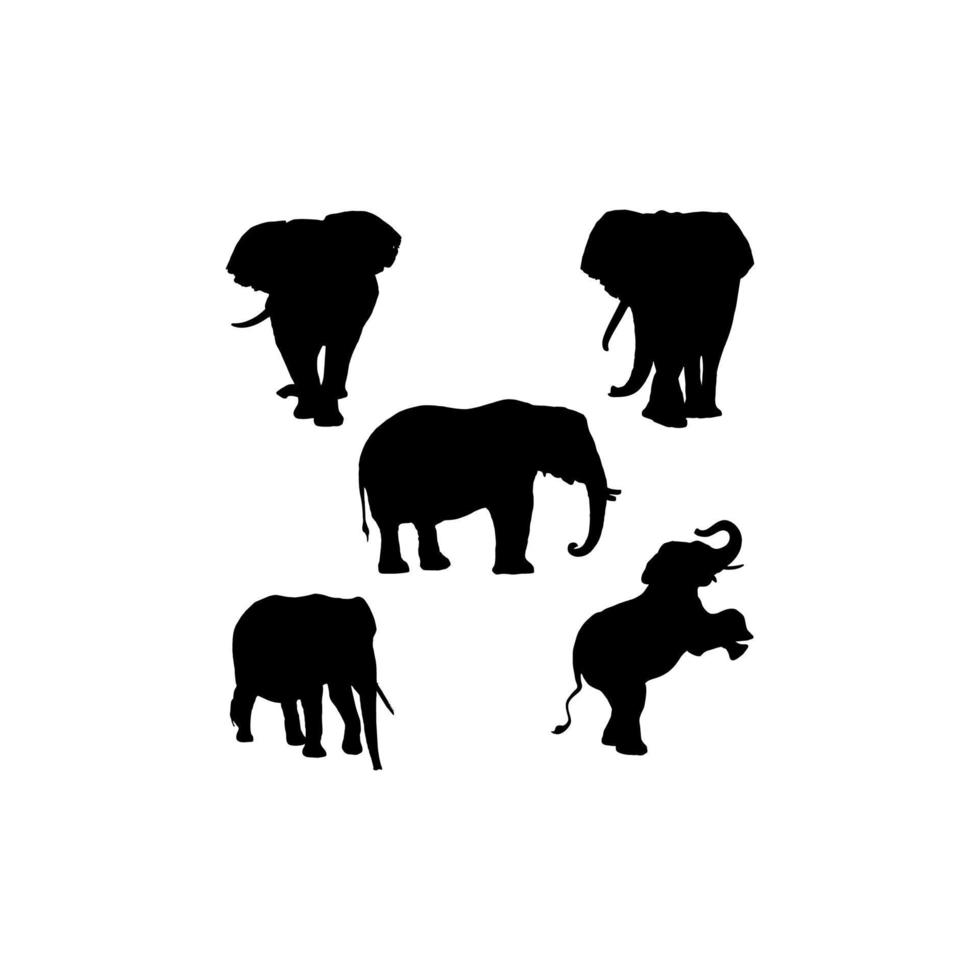 elephant set silhouette icon logo vector