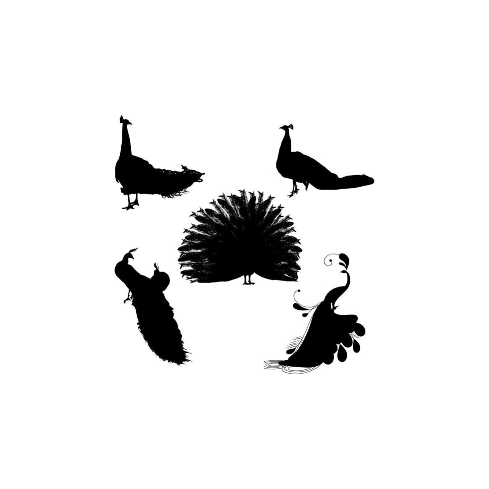 logotipo de icono de silueta de conjunto de pavo real vector