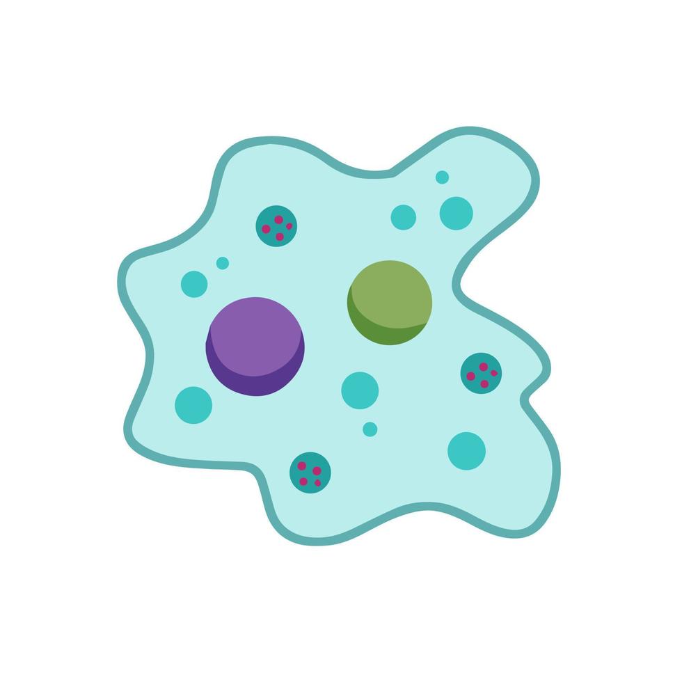 célula de ameba. Pequeño animal unicelular. virus y bacterias. educación y ciencia. ilustración de dibujos animados plana vector