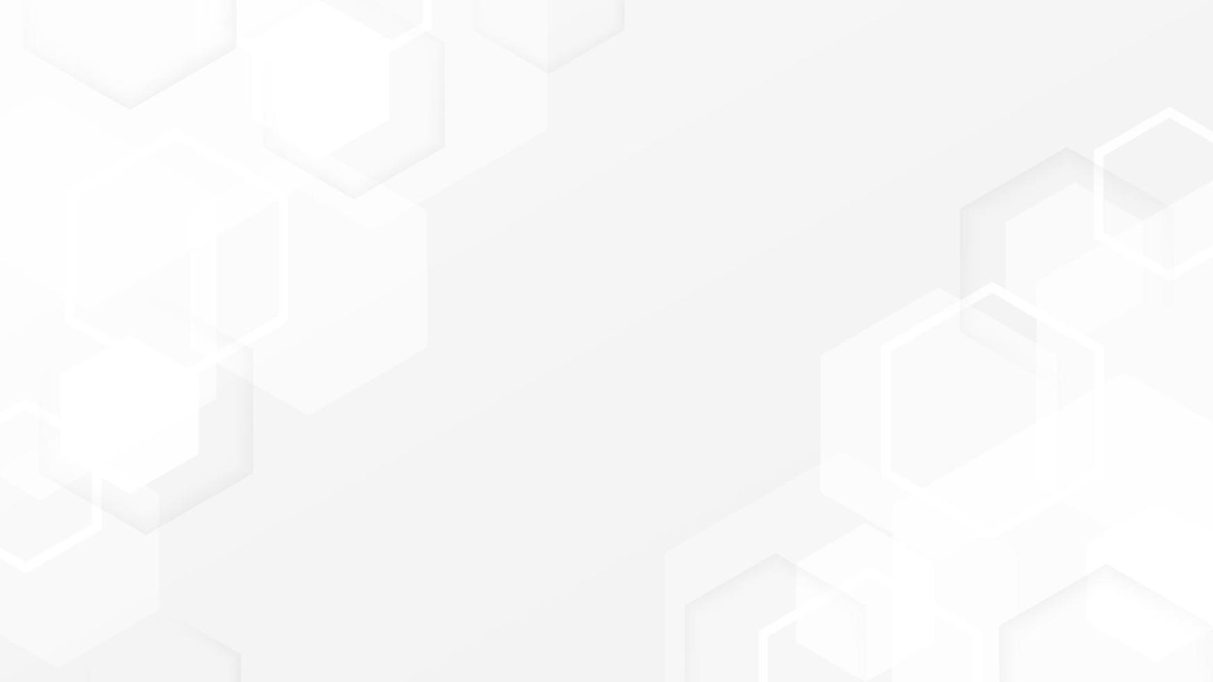 Abstract modern hexagon background, White and grey geometric texture vector