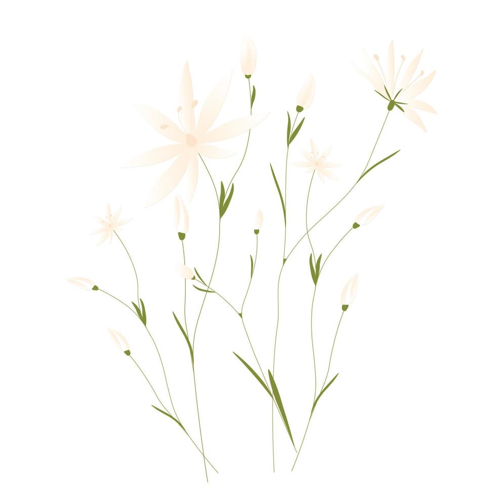 Wildflowers vector illustration. Delicate little flowers. Botanical poster .