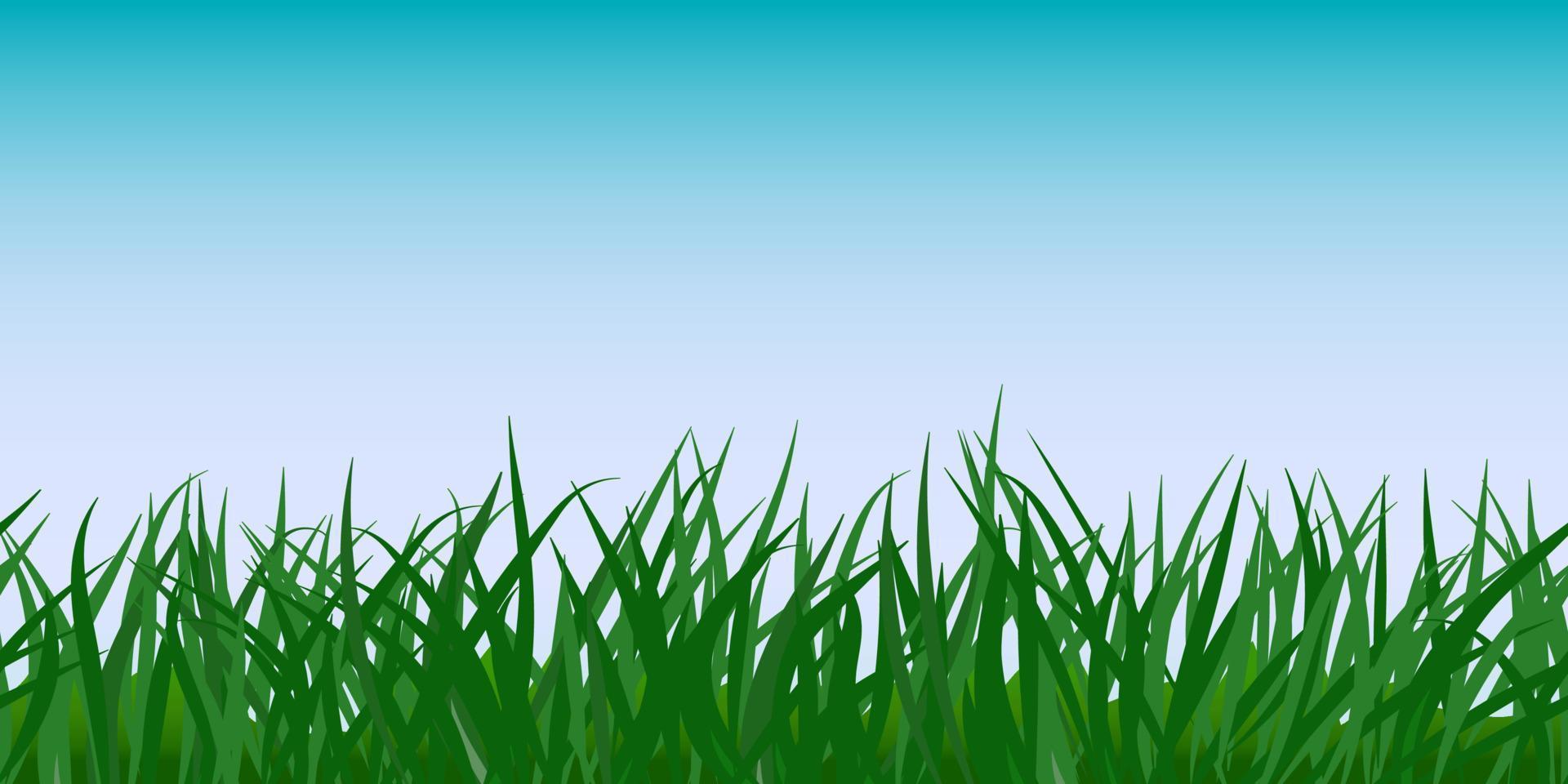 Green wild grass field against clear blue sky. Front view. Rural nature, pasture grassland in spring or summer. Seamless stripe, horizontal border, background for designs vector