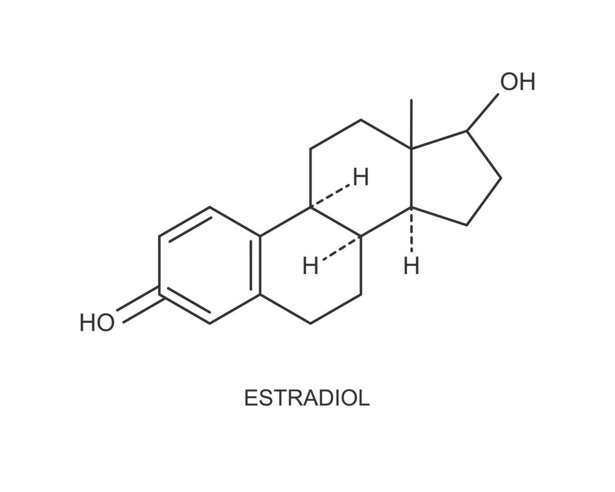 icono de estradiol. estructura molecular química. Signo de hormona sexual esteroide femenina aislado sobre fondo blanco. concepto de terapia de reemplazo hormonal vector