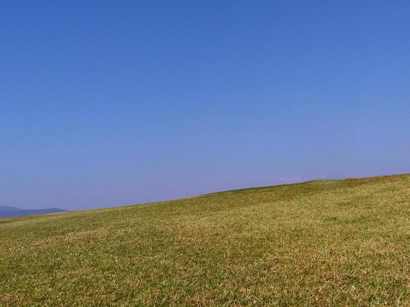 Green grass field or lawn with clear blue sky background and copy space. photo