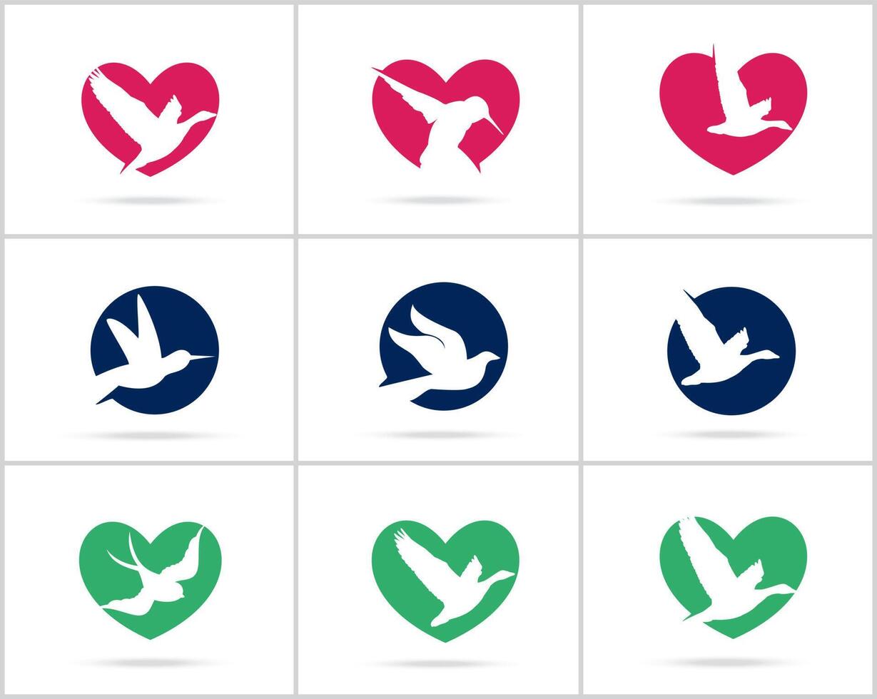 colección de diseño de vector de logotipo de pájaro.
