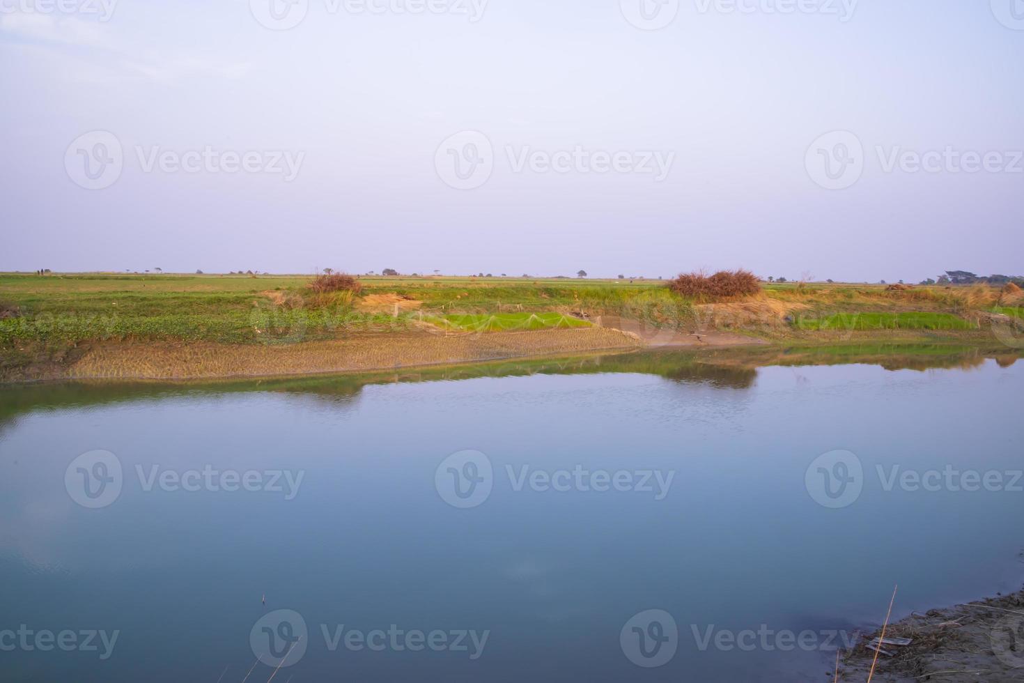 Canal with green grass and vegetation reflected in the water nearby Padma river in Bangladesh photo