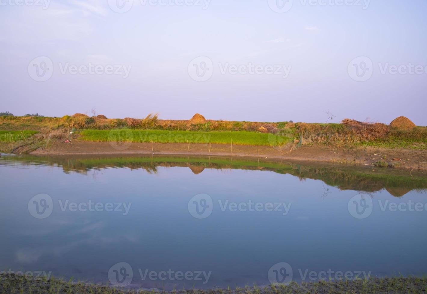 Canal with green grass and vegetation reflected in the water nearby Padma river in Bangladesh photo