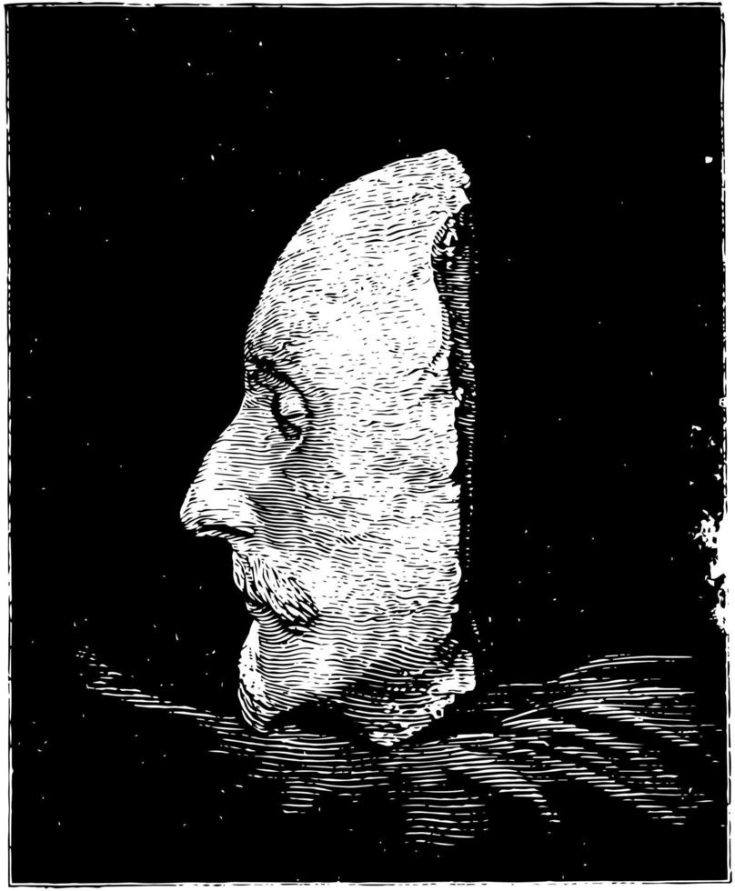 ilustración de la vendimia del lado izquierdo de la máscara de la muerte de shakespeare vector
