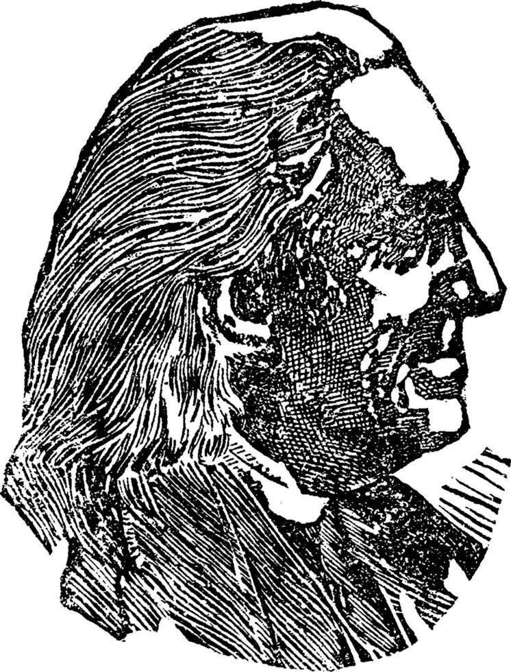 franz liszt, ilustración de la vendimia vector