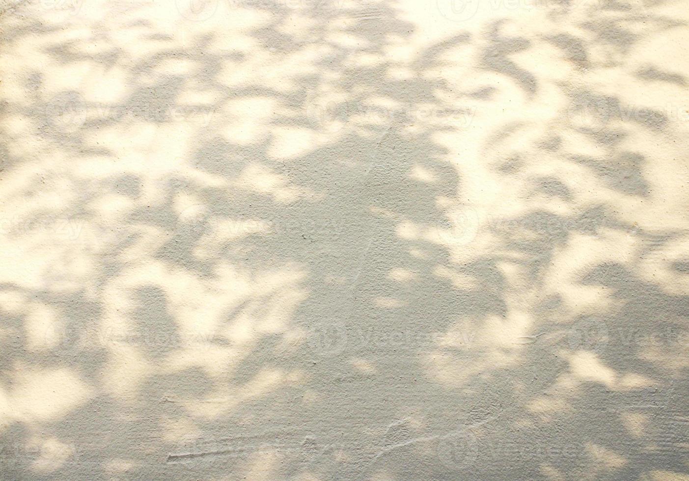 wall plastered with white putty on which there is shadow from  trees. bush shadow on textured wall photo