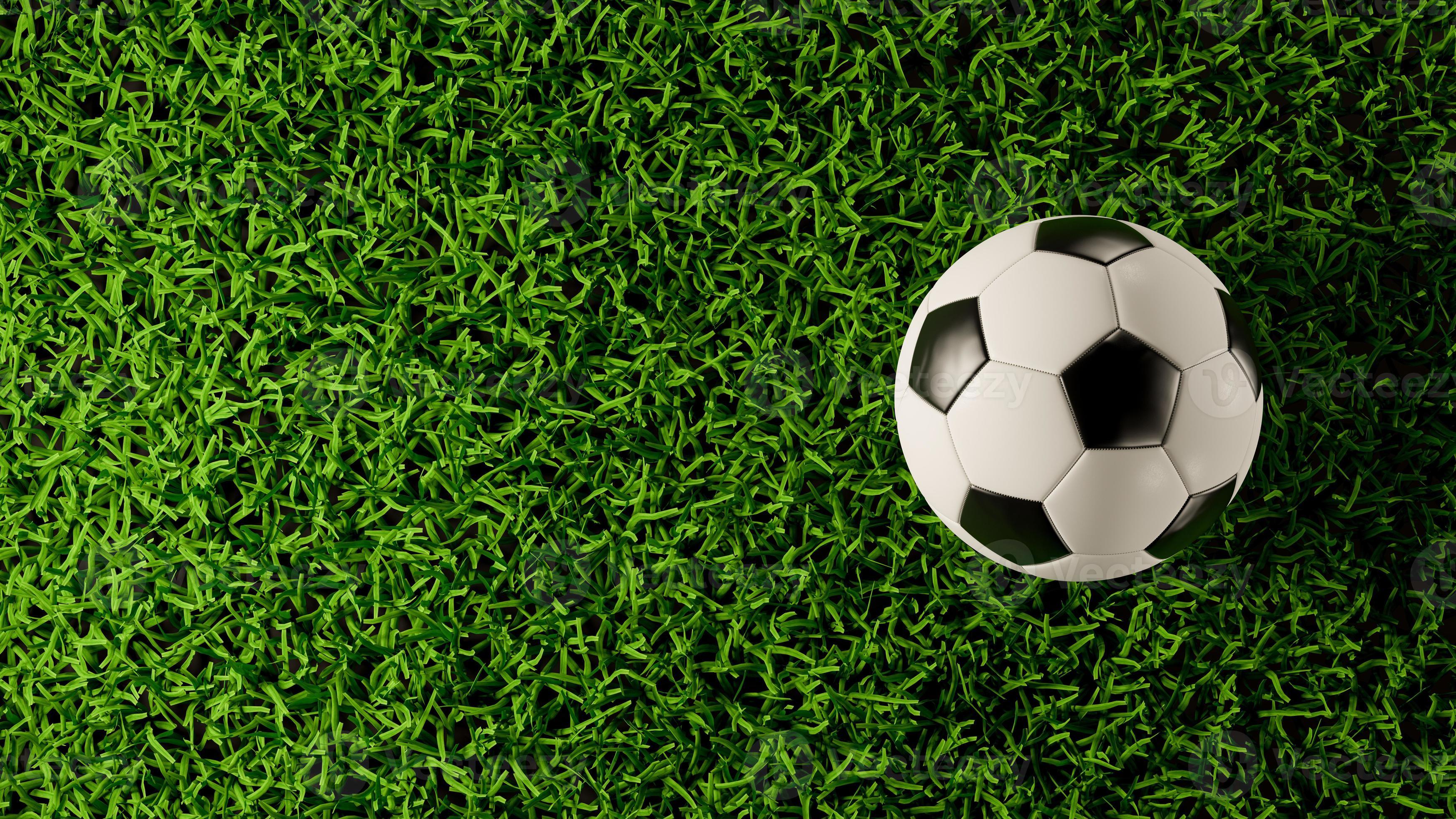 Top view of soccer or football on grass field. 3D rendering